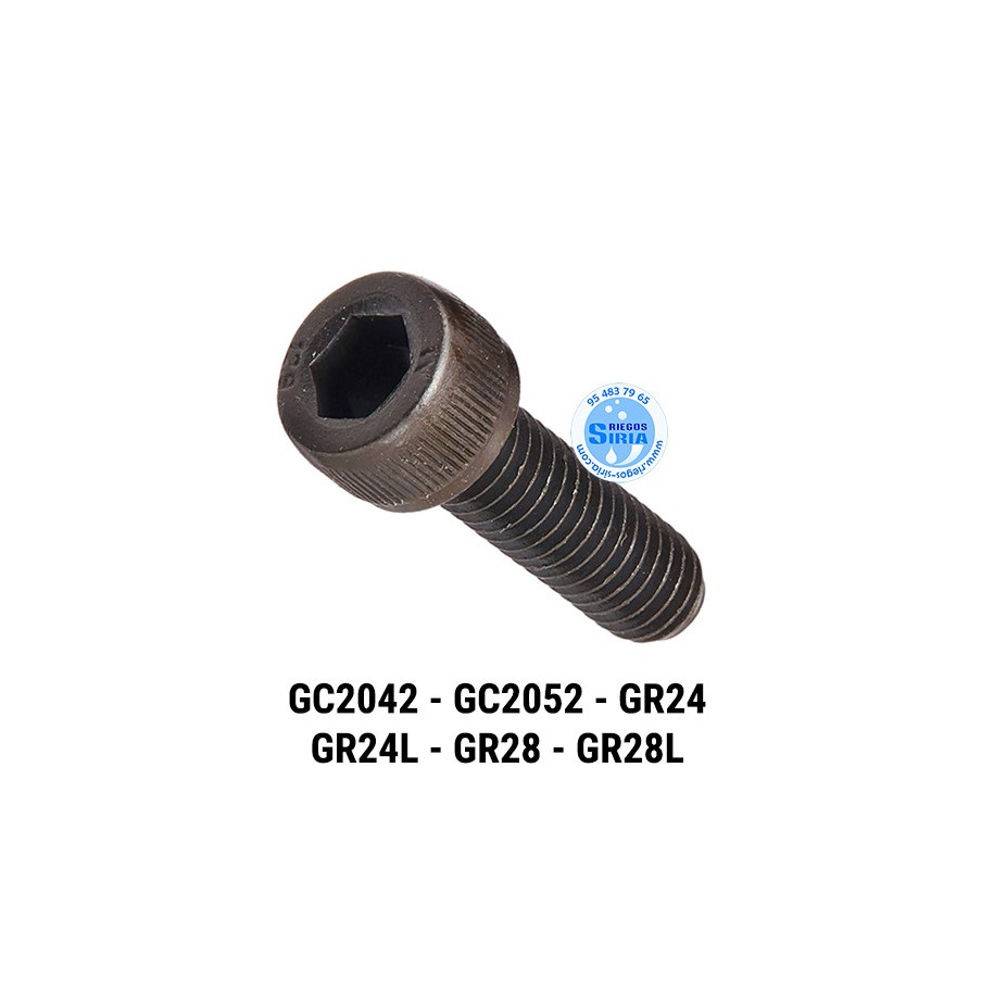 Tornillo Escape compatible GC2042 GC2052 GR24 GR28 030500