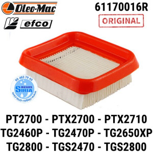 Filtro Aire Original PT2700 PTX2700 PTX2710 TG2460P TG2470P TG2650XP TG2800XP TGS2470P TGS2800XP 090363