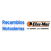 RECAMBIOS MOTOSIERRAS