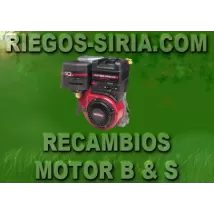 Recambios Motor Briggs Stratton