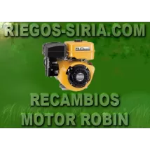 Recambios Motor Robin