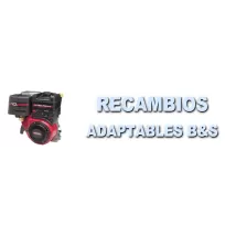 Los Recambios para Motores Briggs Stratton Más Baratos