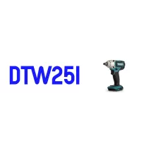 DTW251